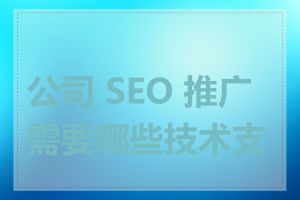 公司 SEO 推广需要哪些技术支持