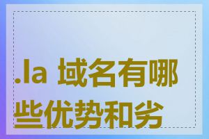 .la 域名有哪些优势和劣势