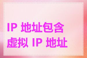 IP 地址包含虚拟 IP 地址吗