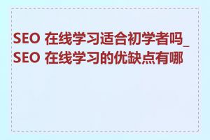 SEO 在线学习适合初学者吗_SEO 在线学习的优缺点有哪些
