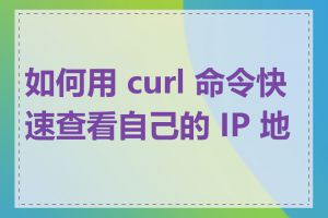 如何用 curl 命令快速查看自己的 IP 地址