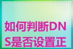 如何判断DNS是否设置正确