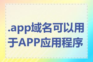 .app域名可以用于APP应用程序吗