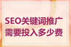SEO关键词推广需要投入多少费用