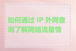 如何通过 IP 外网查询了解网络流量情况