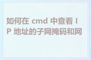 如何在 cmd 中查看 IP 地址的子网掩码和网关
