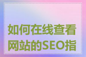 如何在线查看网站的SEO指标