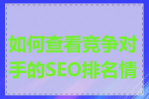 如何查看竞争对手的SEO排名情况