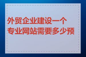 外贸企业建设一个专业网站需要多少预算