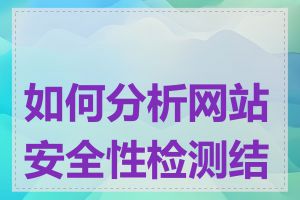 如何分析网站安全性检测结果
