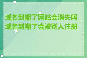 域名到期了网站会消失吗_域名到期了会被别人注册吗