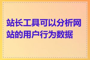 站长工具可以分析网站的用户行为数据吗