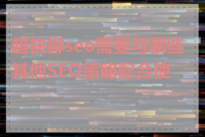 超快排seo需要与哪些其他SEO策略配合使用