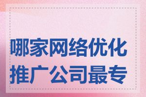 哪家网络优化推广公司最专业