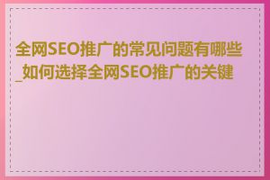 全网SEO推广的常见问题有哪些_如何选择全网SEO推广的关键词
