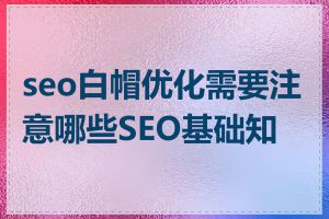 seo白帽优化需要注意哪些SEO基础知识