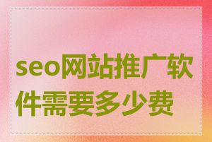 seo网站推广软件需要多少费用