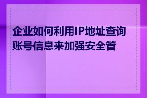 企业如何利用IP地址查询账号信息来加强安全管理