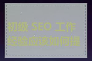 初级 SEO 工作经验应该如何提升