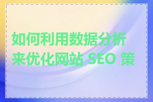 如何利用数据分析来优化网站 SEO 策略