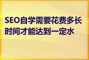 SEO自学需要花费多长时间才能达到一定水平