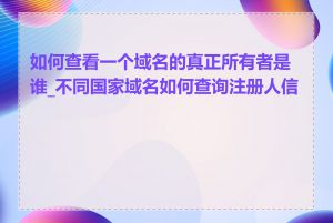 如何查看一个域名的真正所有者是谁_不同国家域名如何查询注册人信息