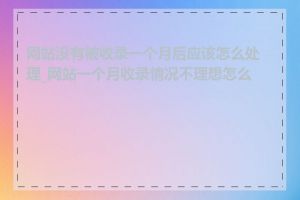 网站没有被收录一个月后应该怎么处理_网站一个月收录情况不理想怎么办