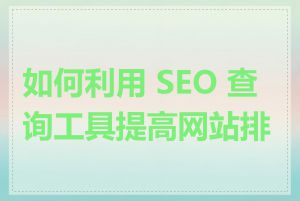 如何利用 SEO 查询工具提高网站排名