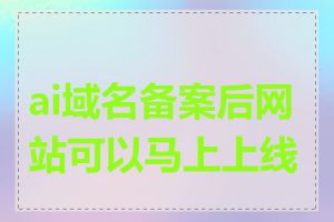 ai域名备案后网站可以马上上线吗