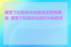 搜索下拉框优化的最佳实践有哪些_搜索下拉框优化的ROI如何评估
