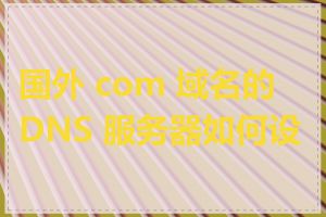 国外 com 域名的 DNS 服务器如何设置