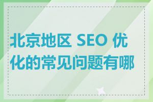 北京地区 SEO 优化的常见问题有哪些