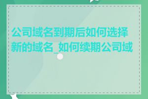 公司域名到期后如何选择新的域名_如何续期公司域名