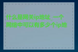 什么是网关ip地址_一个网络中可以有多少个ip地址