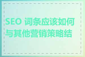 SEO 词条应该如何与其他营销策略结合