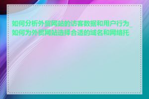 如何分析外贸网站的访客数据和用户行为_如何为外贸网站选择合适的域名和网络托管
