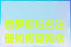 俄罗斯域名注册如何查询状态