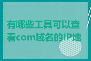 有哪些工具可以查看com域名的IP地址