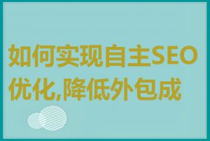 如何实现自主SEO优化,降低外包成本