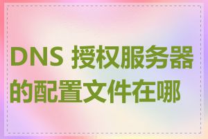 DNS 授权服务器的配置文件在哪里