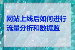 网站上线后如何进行流量分析和数据监测