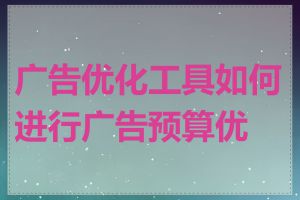 广告优化工具如何进行广告预算优化