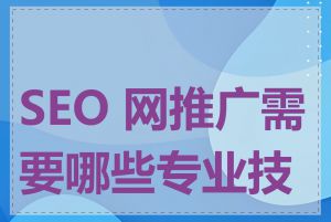 SEO 网推广需要哪些专业技能