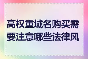 高权重域名购买需要注意哪些法律风险