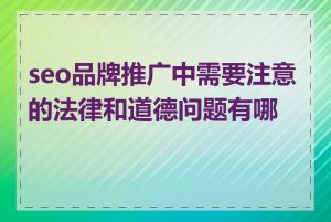 seo品牌推广中需要注意的法律和道德问题有哪些