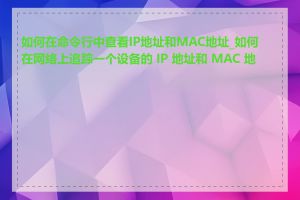 如何在命令行中查看IP地址和MAC地址_如何在网络上追踪一个设备的 IP 地址和 MAC 地址