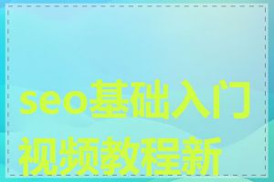 seo基础入门视频教程新手