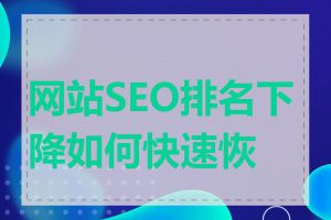 网站SEO排名下降如何快速恢复
