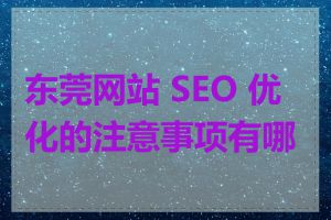 东莞网站 SEO 优化的注意事项有哪些