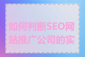 如何判断SEO网站推广公司的实力